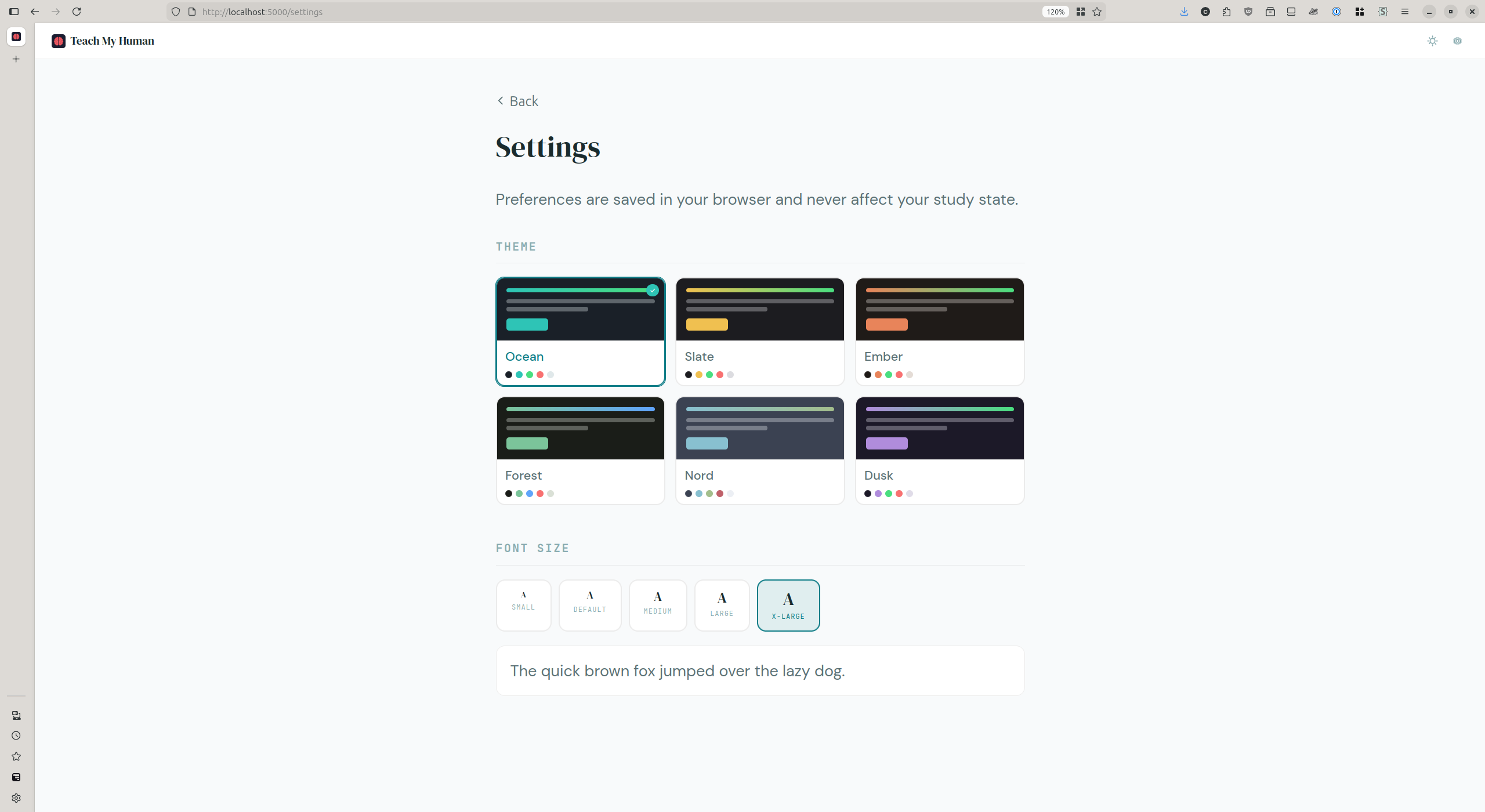 The TMH settings page with six themes and a font size picker. Time well spent?